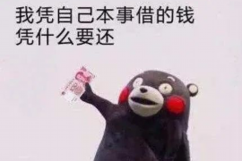 壤塘企业清欠服务